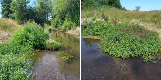 Kalterbach Hebertshausen1 VDM klein